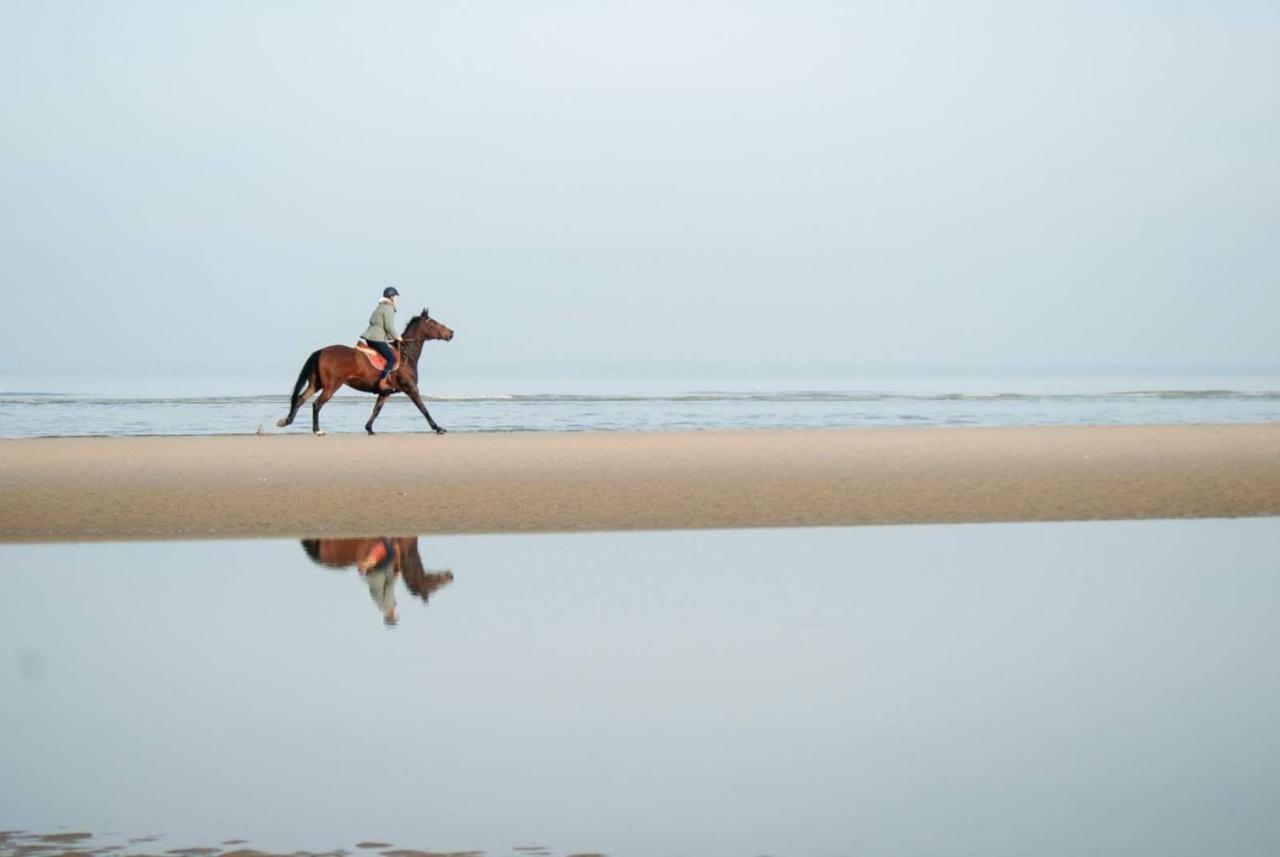 El Mirador De Meron San Vicente De La Barquera Ngoại thất bức ảnh